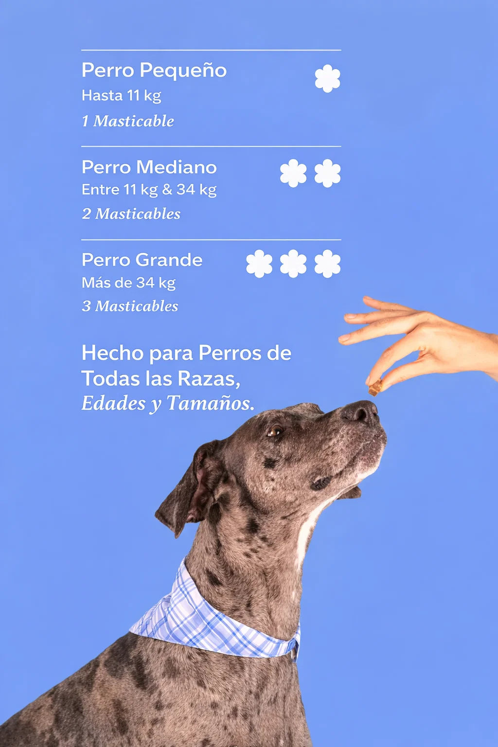 Dog is Human — Multivitamínico Probiótico Premium para Perros 🐶