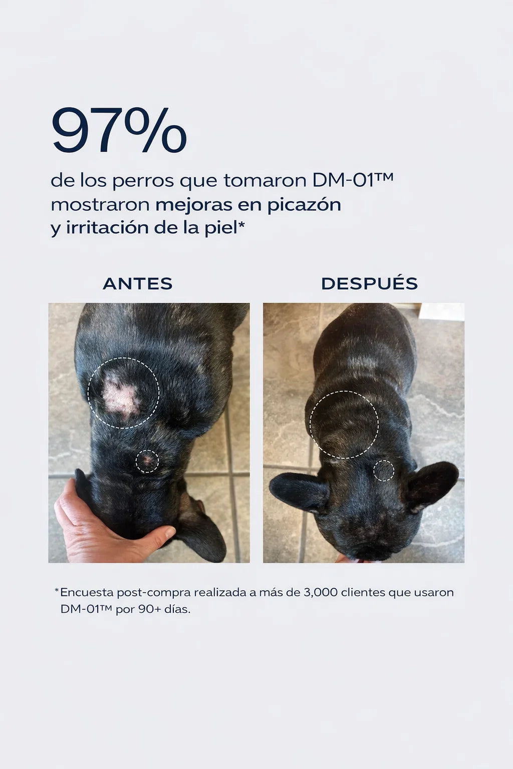 Dog is Human — Multivitamínico Probiótico Premium para Perros 🐶
