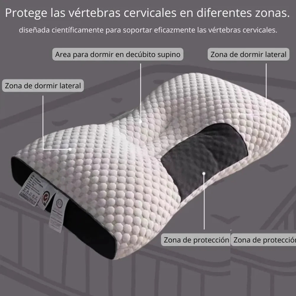 Zonas de soporte cervical 3D